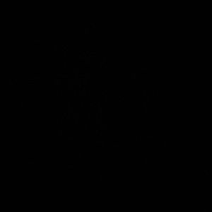 Meet your Posher, Shauniece